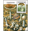 Mushrooms (VI) (268)