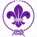 Scouts