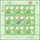 Mali Chalermnarin-Jasminum bhumibolianum Chalermglin -KB(III) SPECIAL SHEET-