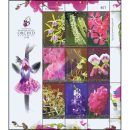 Amazing Thailand (I): Orchideen -KB(II) Randinschrift SIAM PARAGON- (**)