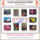 Anti-Tuberkulose Stiftung 2527 (1984) -Blumen Thailands II- (KB) **