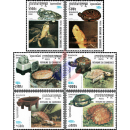 BANGKOK 2000: Schildkröten