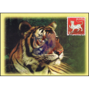 Zodiac 2010: Year of the Tiger -MAXIMUM CARD-