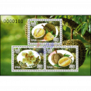 Durian Frucht (Durio zibethinus) (394)