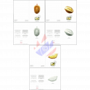 Durian fruit (Durio zibethinus) -DELUXE CARD