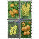 Native Fruits (IV)