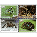 Native Spiders (MNH)