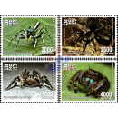 Native Spiders