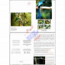 Einheimische Vögel (XI) -DELUXE CARD