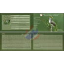 Endemic Birds: Ayeyarwady BulBul -MAXIMUM CARD