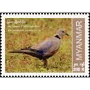 Endemische Vogelarten: Burmataube (**)