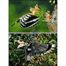 Flying Birds of Cambodia (401A-402B) (MNH)