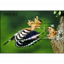 Fliegende V�gel in Kambodscha (401A) (**)