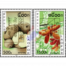 Fruits (IV) -OVERPRINT