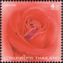 Grußmarke 2002: Rose (I)
