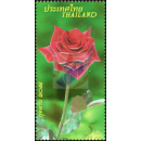 Rose - A Symbol of Love and Relationships (2877)