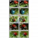 Insects: Ladybugs -PAIR- (MNH)