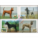 Internationale Briefwoche: Thailndischer Ridgeback -MAXIMUM KARTEN