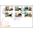 Cats and Historical Cat Representations -FDC(I)-