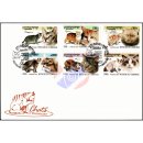 Katzenrassen (IV) -FDC(I)-