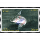 Mekong Giant Catfish -FDC(I)-