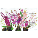 Orchideen: Dendrobium-Züchtungen (265)