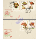 Mushrooms (III) -FDC(I)-