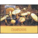 Mushrooms (VII) (282A)