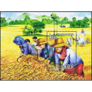 Rice Cultivation (322)