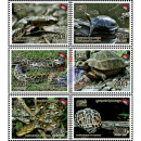 Reptilien in Kambodscha (IV)