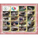 PERSONA.SHEET: A day with hippo Baby Moo Deng at the...