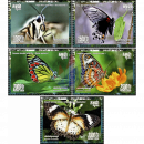 Butterflies (XIII)