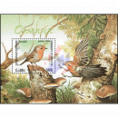 Songbirds (258C)