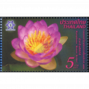 THAILAND 2016, Bangkok: Lotus flower Queen Sirikit