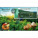 Teeplantage in der Nord Shan Provinz (8) -FDC(I)-