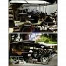 Tuk-Tuk Transport (419A)