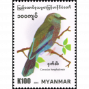 Birds in Myanmar: Indian Roller (Coracias benghalensis) (MNH)