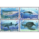 WWF: World Conservation of Marine Life (MNH)