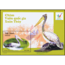Wasservögel im Xuan-Thuy-Nationalpark (159)