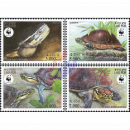Weltweiter Naturschutz: Amboina-Scharnierschildkröte