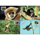 Worldwide Nature Conservation: Handed Gibbon -MAXIMUM CARDS
