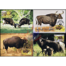 Worldwide natural reserve: Wildlife (WWF) -MAXIMUM CARDS-