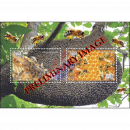 Wild Bees of Cambodia (403)