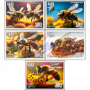 Wild Bees of Cambodia