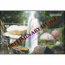 Wild mushrooms (405)