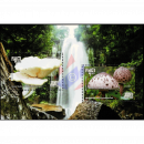 Wildpilze (406)
