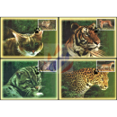 Wild Animals (VI) -MAXIMUMCARDS-