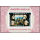 200 Years of Independence of the USA (A70III-J70III) -B(II)- (MNH)