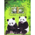 SONDERBOGEN: Geburt des 1. Pandababys in Thailand, Chiang Mai -PS(002)- (**)