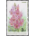 6th ASEAN Orchid Congress -STAMP BOOKLET-